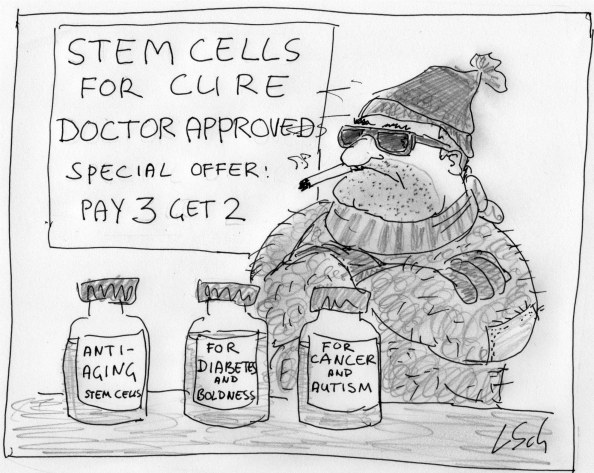 Stem Cell for Sale