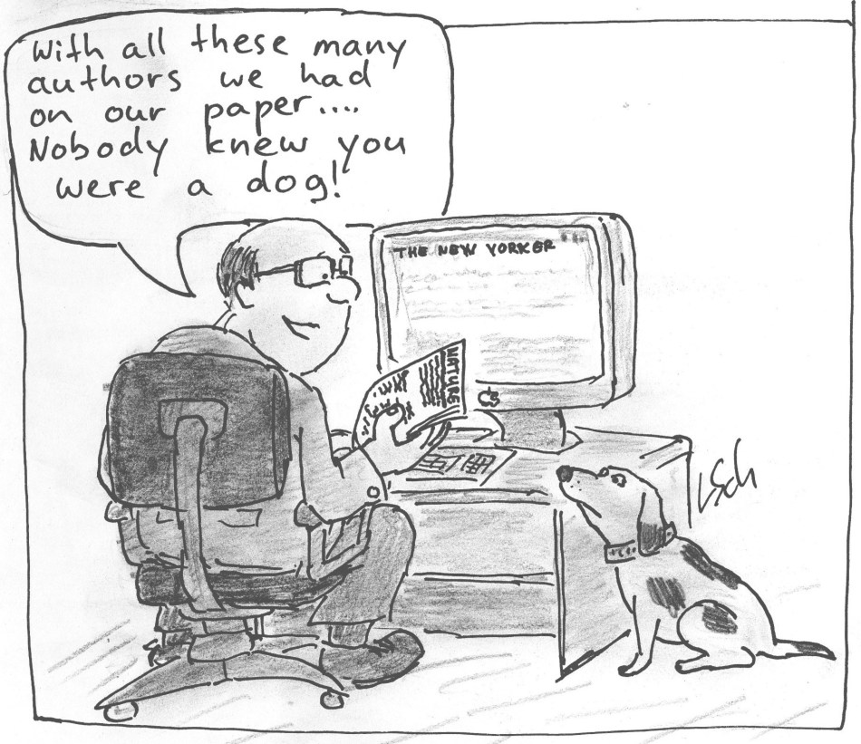 modified from the new yorker