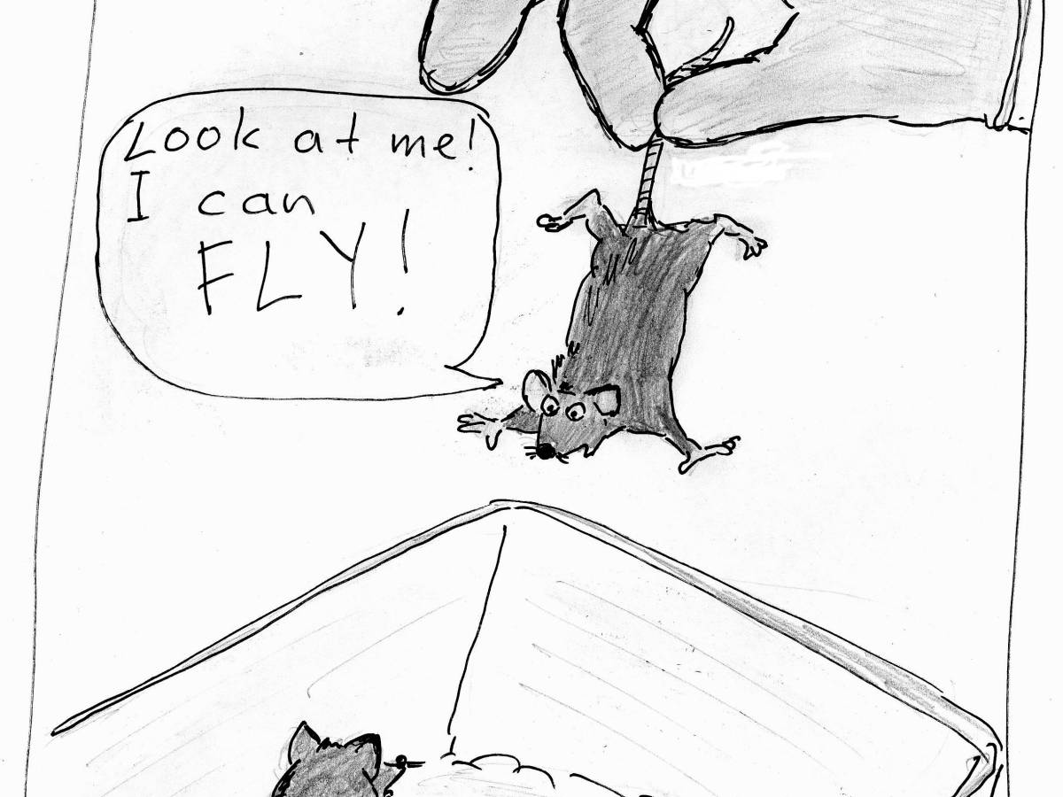 Macchiarini’s German (ex-)friends: Jungebluth and&nbsp;Bader