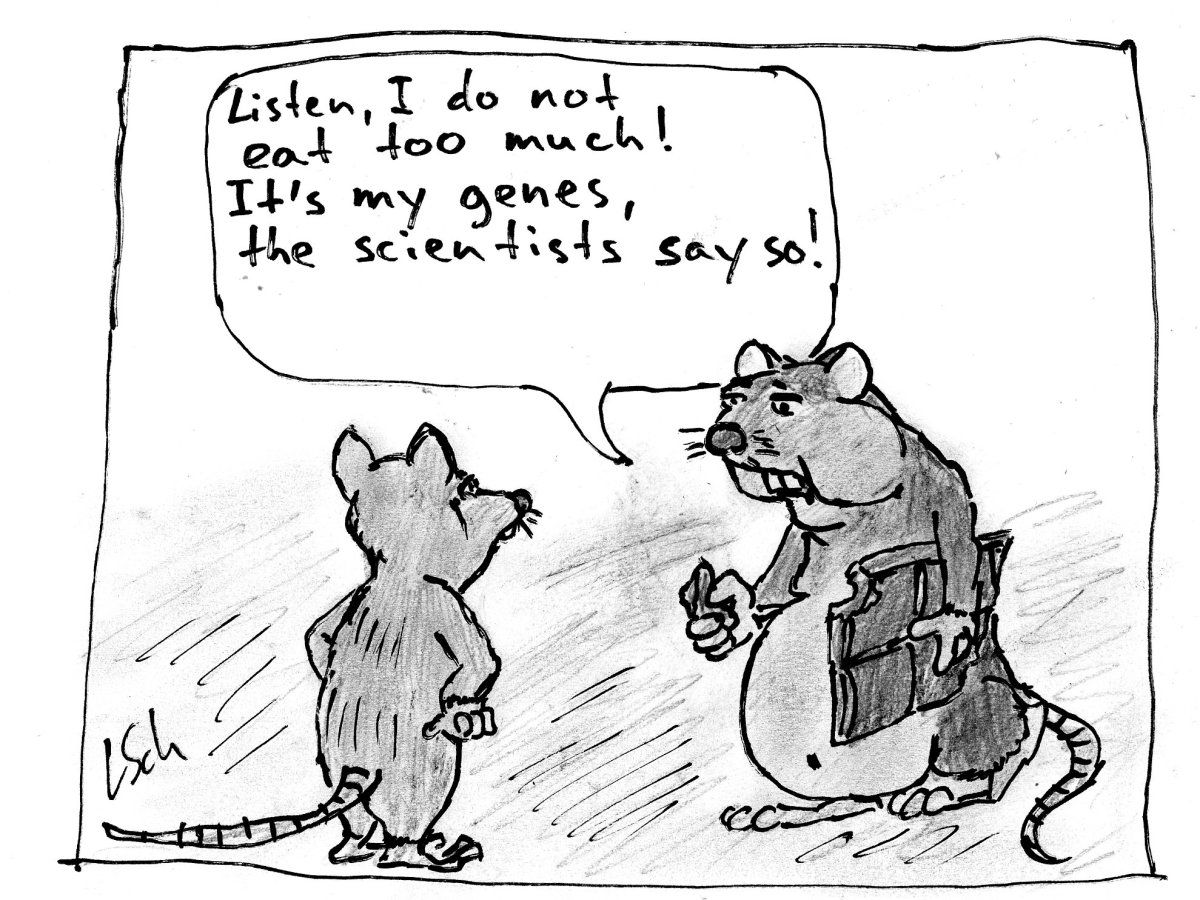 Chocolate is good for your&nbsp;funding