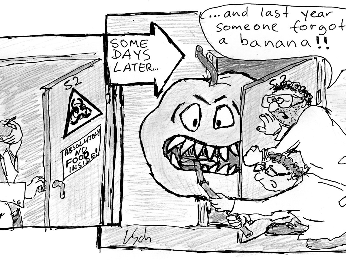 Regenerating in Hannover, Part 1: how Macchiarini got&nbsp;ideas