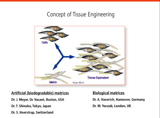 screenshot-drive.google.com 2016-07-25 11-52-07