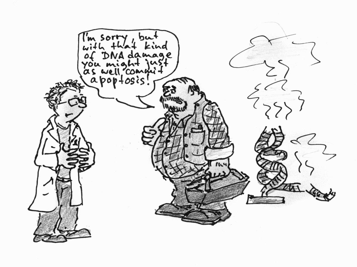 Maria Fousteri, the ERC-funded western blot&nbsp;cheater