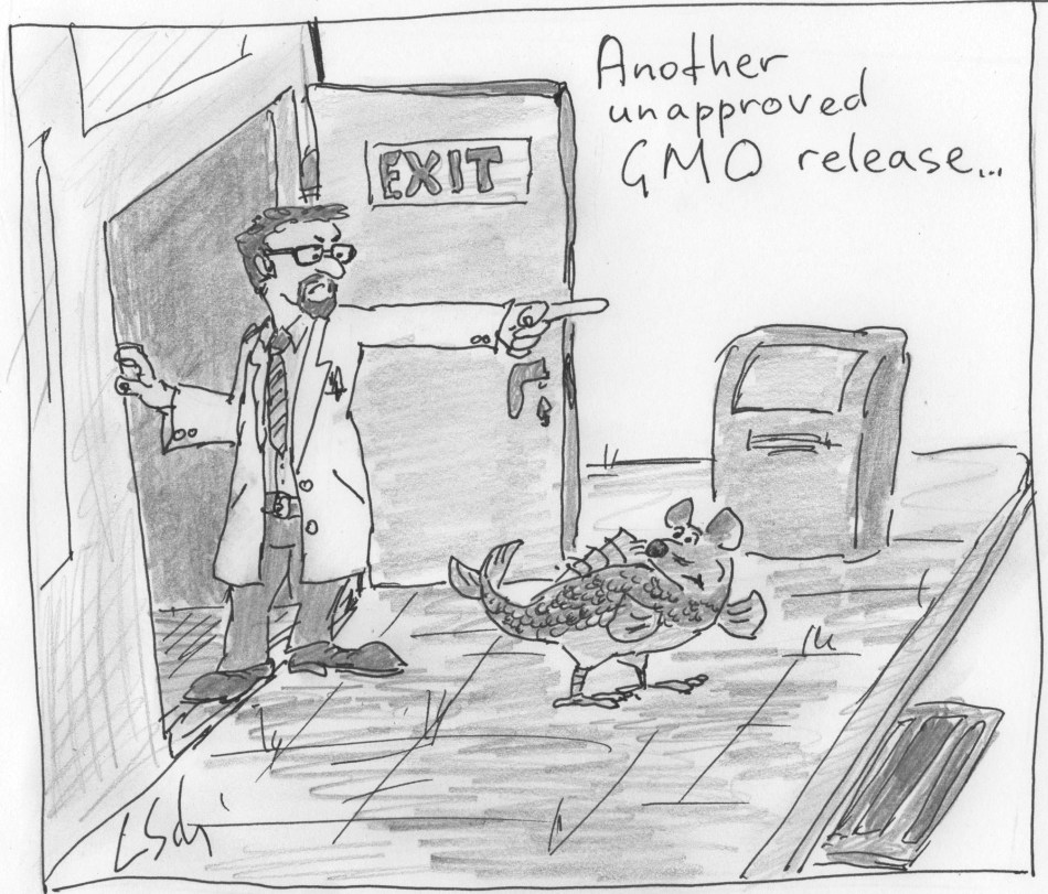 GMO release