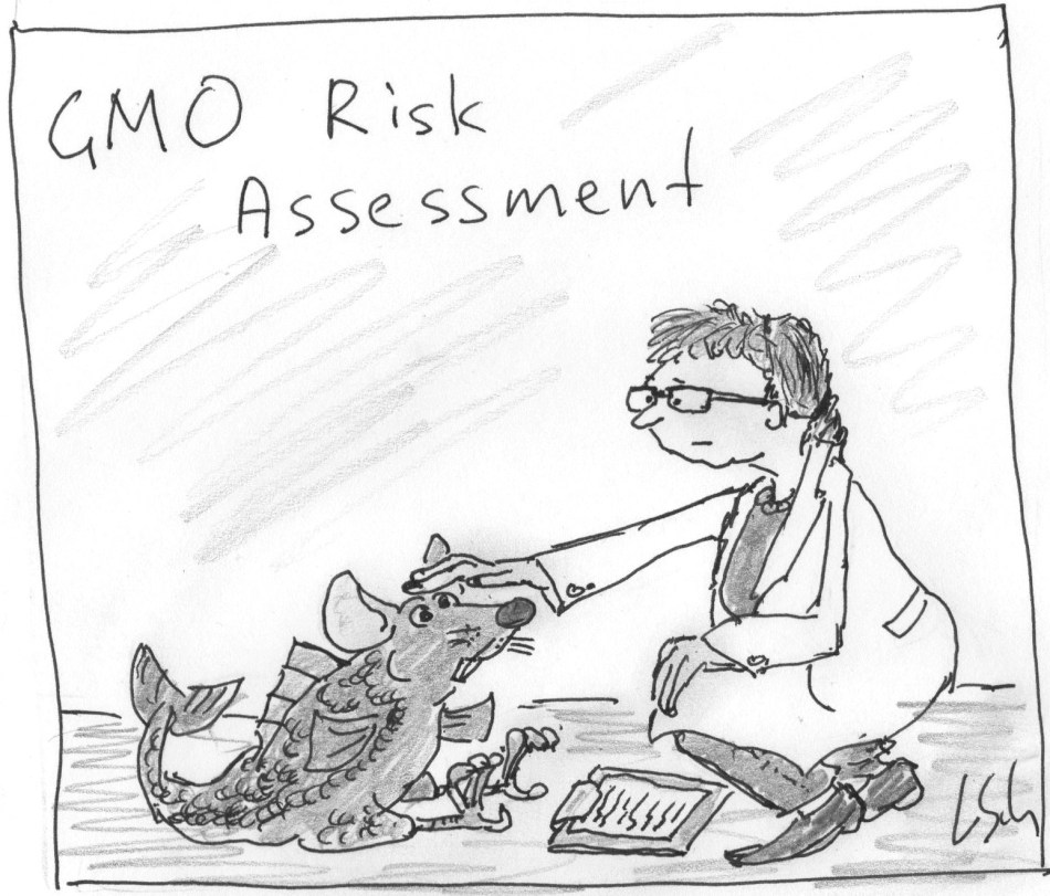 GMO risk assessment
