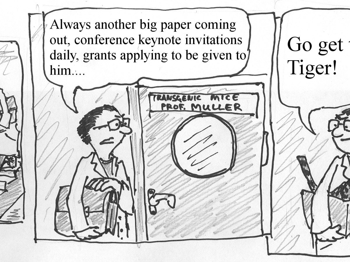 Manel Esteller, the Schrödinger cat of&nbsp;Barcelona