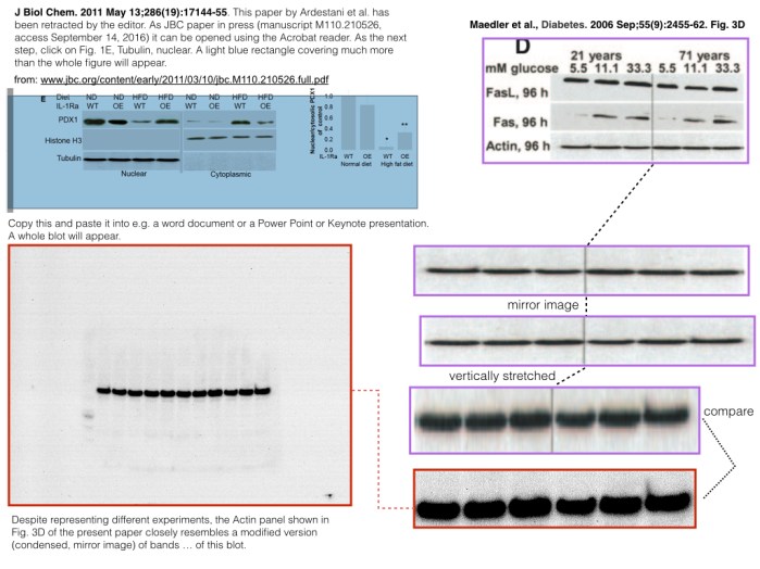 mother-blot-description