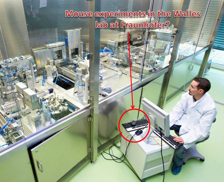walles-mouse