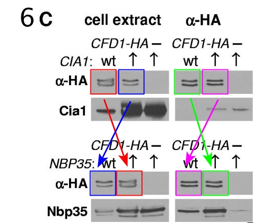 8d40afd9-7f34-4ca5-900c-e79f587c5da9