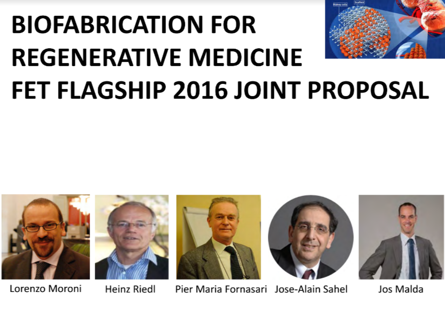 screenshot-drive.google.com 2017-07-18 12-19-01