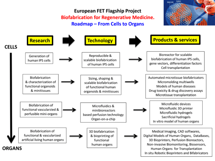 screenshot-drive.google.com 2017-07-18 12-28-00