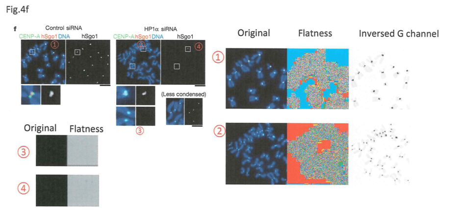 nature 2008 fig4f dossier