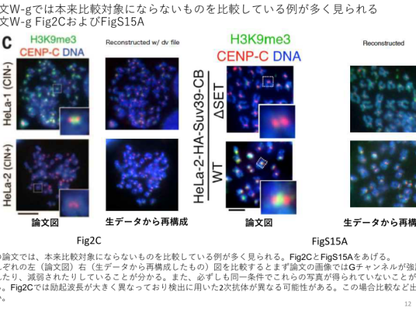 Yoshinori Watanabe data manipulations: much worse than officially&nbsp;presented