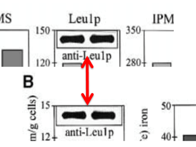 DFG Senator Roland Lill explains how to do science&nbsp;properly