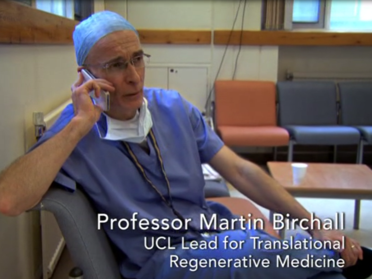 Trachea transplanters: Round 2 at UK&nbsp;Parliament