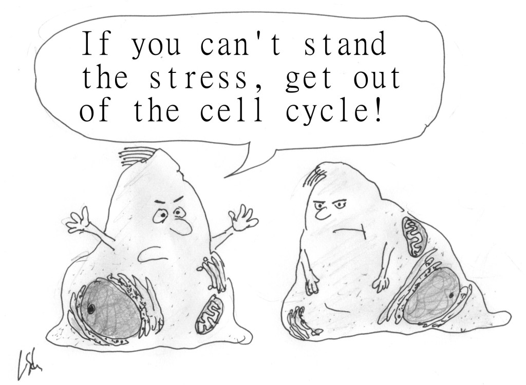 Mind over Antibody – For Better Science