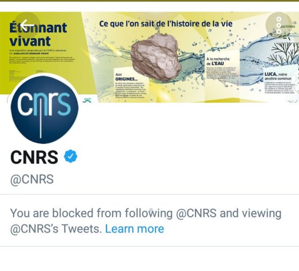 DVXAV2RW0AA1O42.jpg large