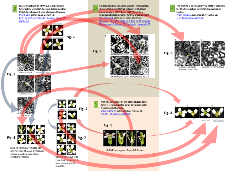 Princess Sabine, her Ombudsman chaperone and a&nbsp;frog