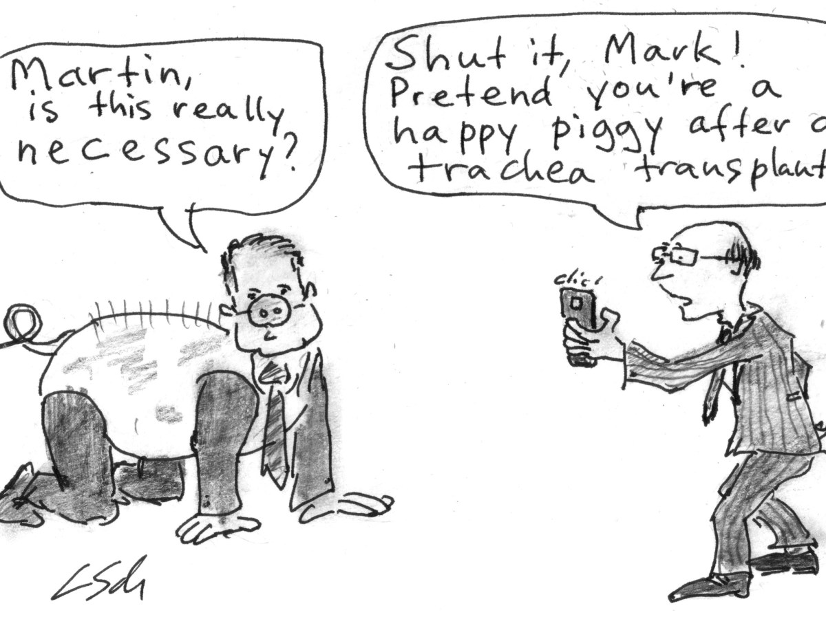 Martin Birchall’s two dead pigs to prove trachea transplants are&nbsp;safe