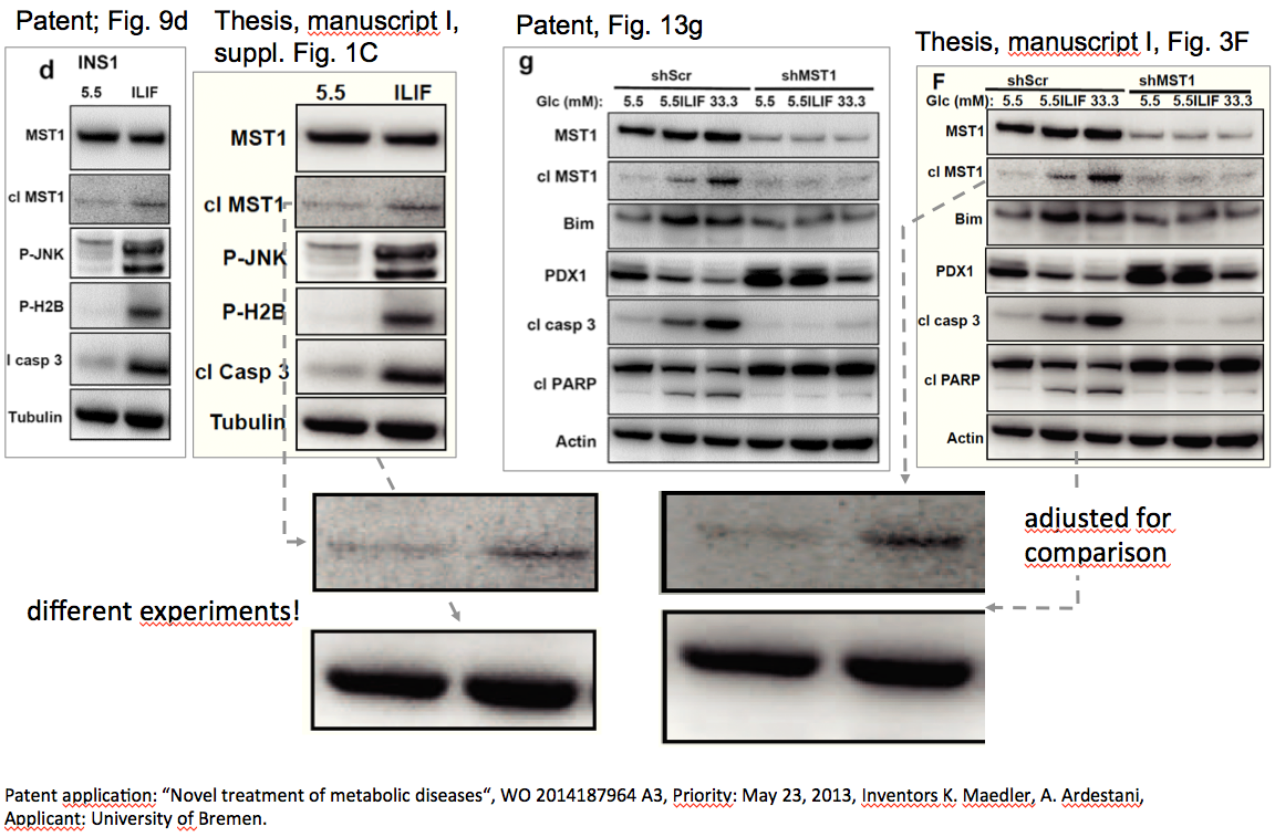 Vergleich thesis und patent Fig. 13g und S1c