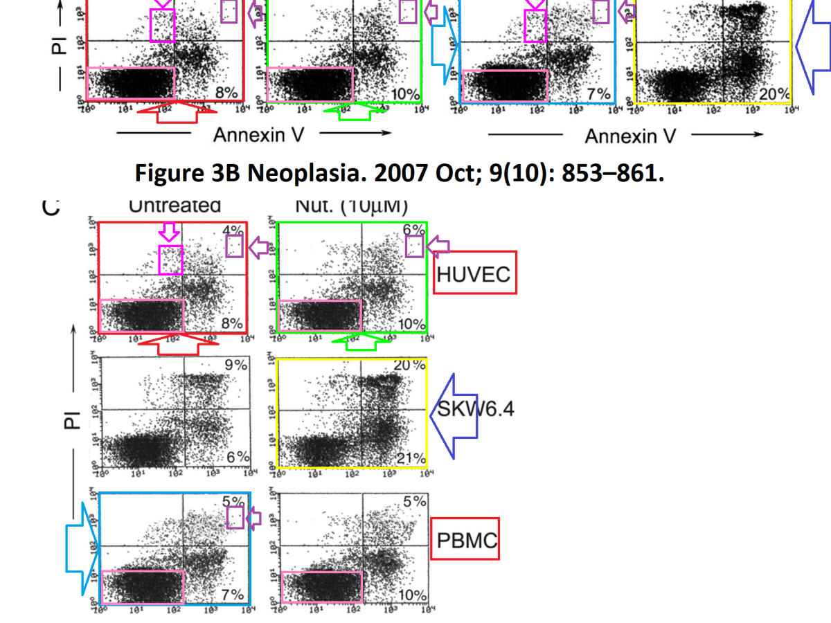 Flawed cytometry of Rector Giorgio&nbsp;Zauli