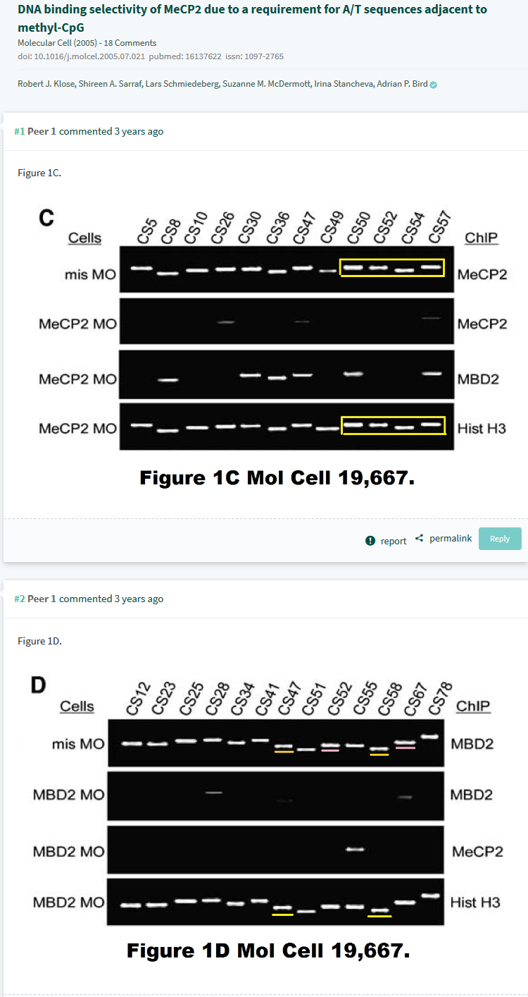 Screenshot-2018-6-18 PubPeer - DNA binding selectivity of MeCP2 due to a requirement for A