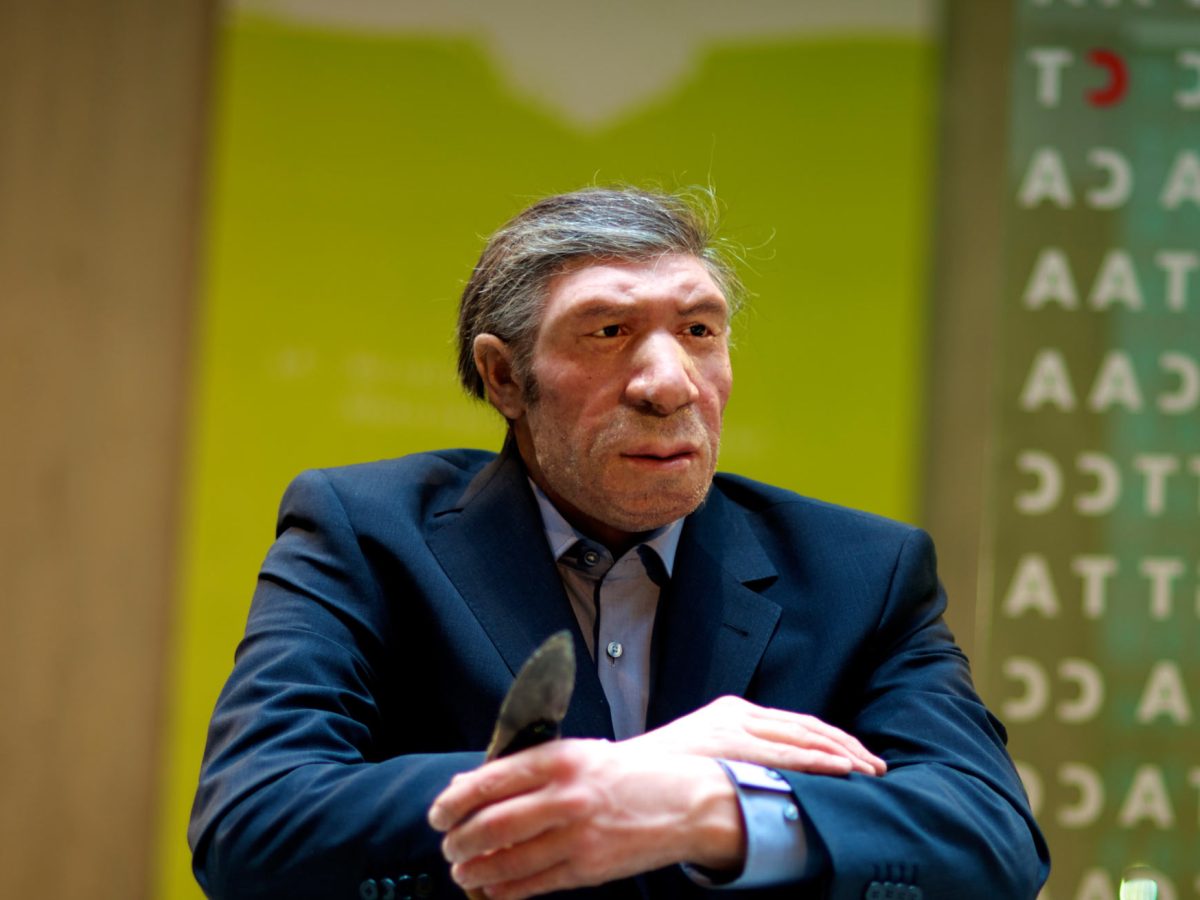 The anti-social mini-brains of Neanderthals