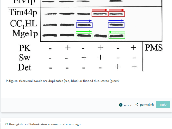 DFG and Marburg drop misconduct investigation of Roland Lill&nbsp;papers
