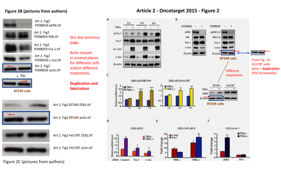 oncotarget 2