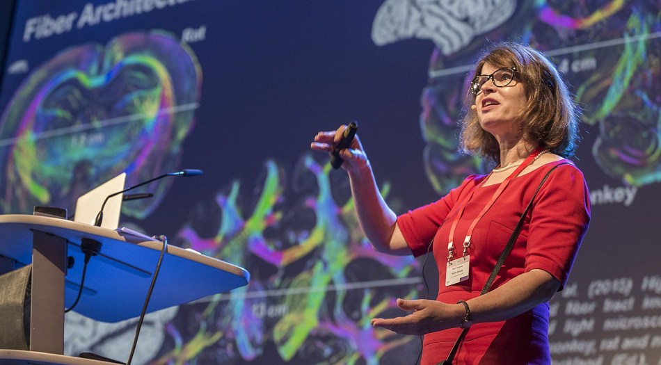 csm_PASC17_035_8ac4a386cd[1]