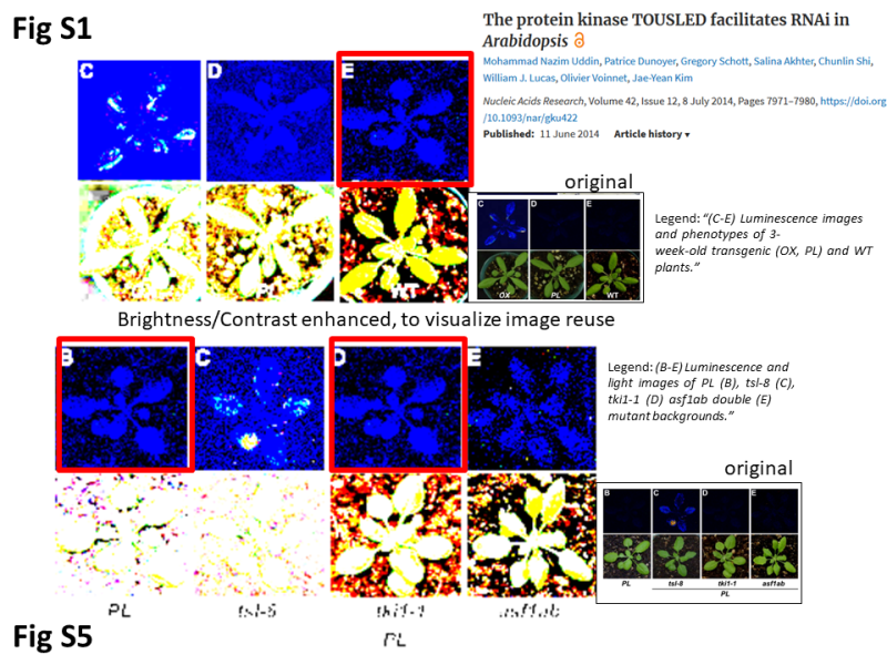 Olivier Voinnet: not guilty in past, present and&nbsp;future