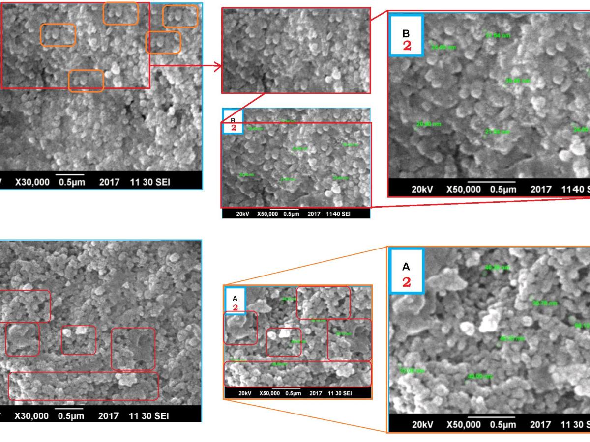 The Bio-Talent of nanofabrication in&nbsp;Poland