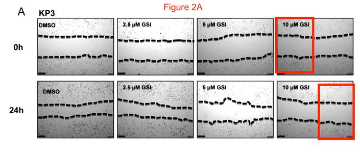 aHR0cHM6Ly9wdWJwZWVyLmNvbS9zdG9yYWdlL2ltYWdlLTE1NDU3MDgxNjAyNDYucG5n