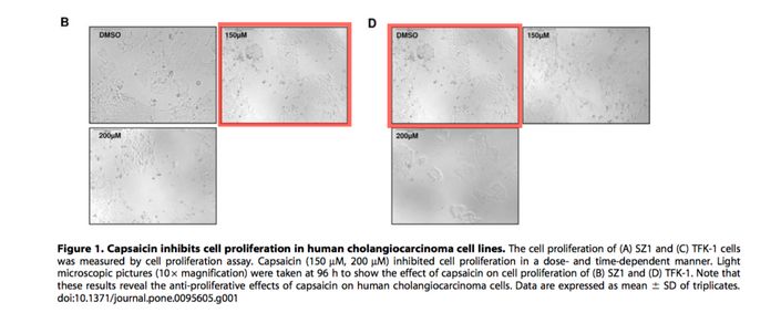 aHR0cHM6Ly9wdWJwZWVyLmNvbS9zdG9yYWdlL2ltYWdlLTE1NDU3MDkyNTgxNzIucG5n