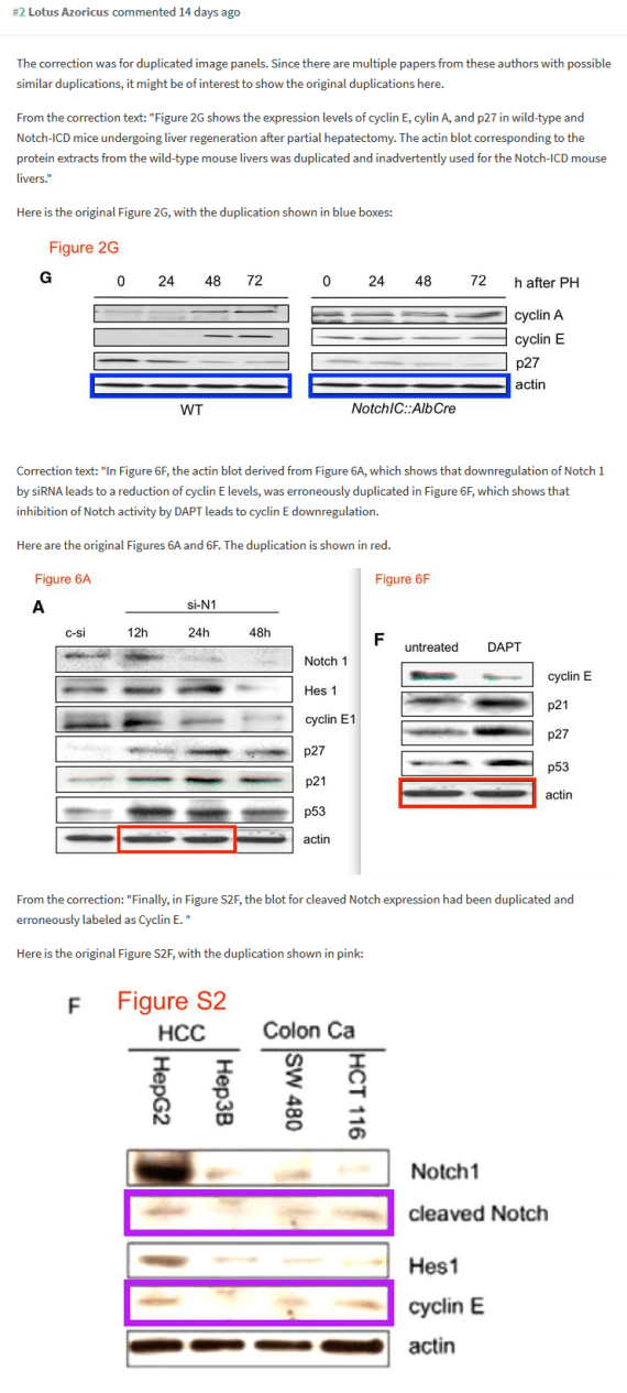 screenshot_2019-01-07 pubpeer - a critical role for notch signaling in the formation of plentz