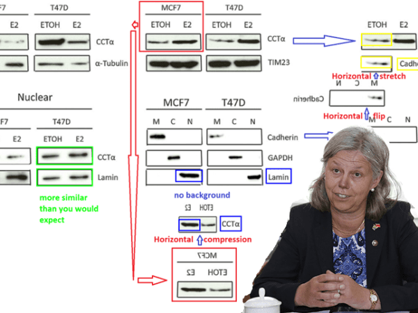 Misconduct findings fell KI Vice-President&nbsp;Dahlman-Wright