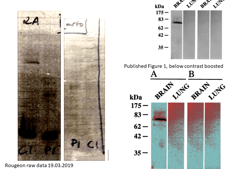 original gels comparison