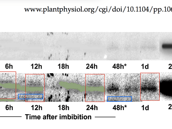 Sally Assmann, right EiC choice for Plant&nbsp;Cell?