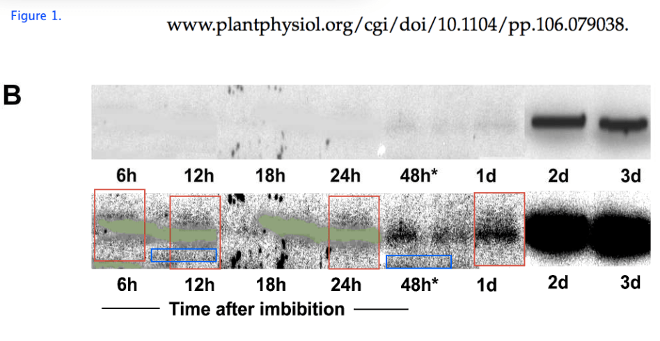 Plant Phys Fig 1