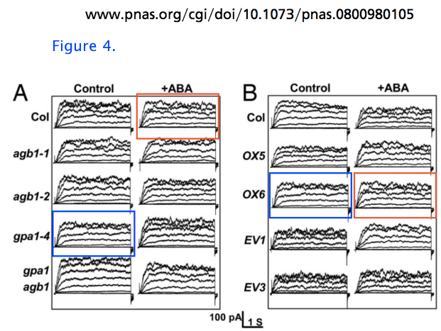 PNAS Fig 4