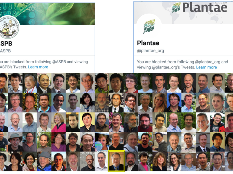 Get a life with Gary&nbsp;Stacey