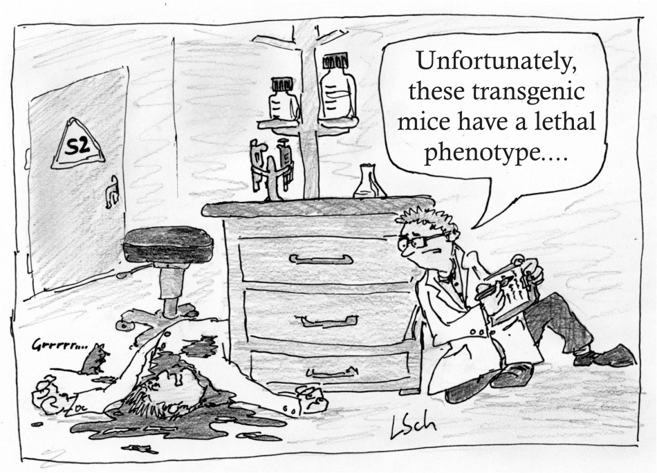 lethal phenotype-new