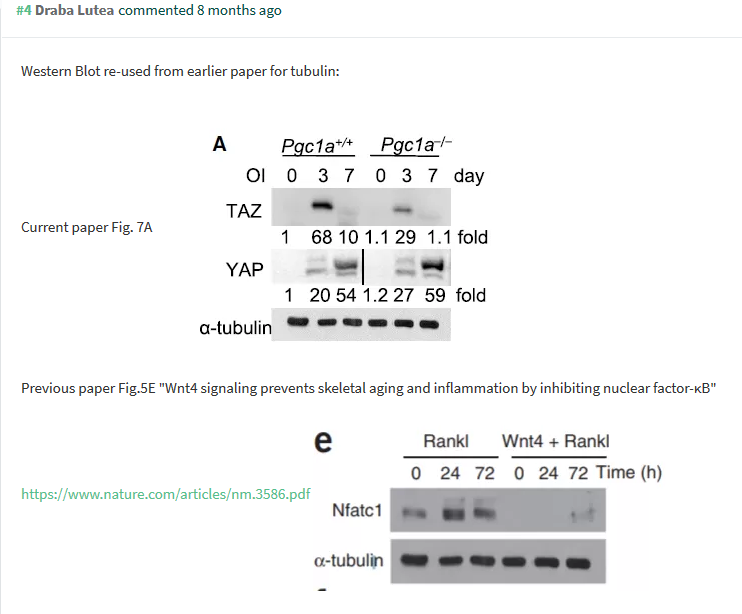 Screenshot_2019-05-02 PubPeer - PGC-1α Controls Skeletal Stem Cell Fate and Bone-Fat Balance