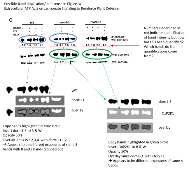 Screenshot_2019-05-23 PubPeer - Extracellular ATP Acts on Jasmonate Signaling to Reinforce