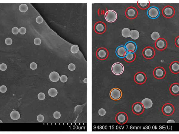 Carrots and sticks for fraudsters at Royal Society of&nbsp;Chemistry