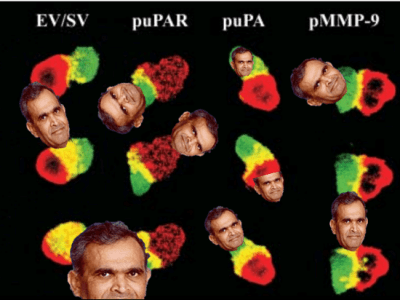 Nasty Jasti Rao, or what’s wrong with US&nbsp;biomedicine