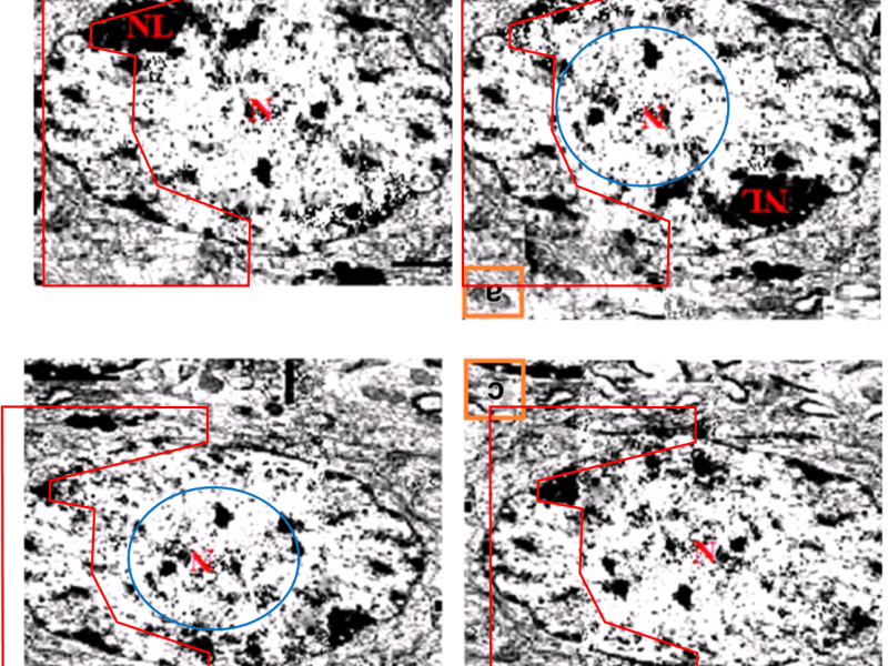 Milton Prabu’s outsourced art&nbsp;gallery