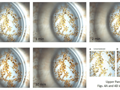 Magic crystals and Nobel Science&nbsp;rules
