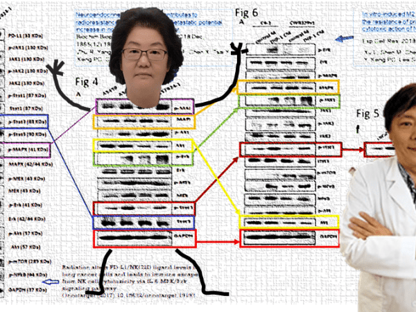 Chainsaw Chang and Soo Not Ok&nbsp;Lee