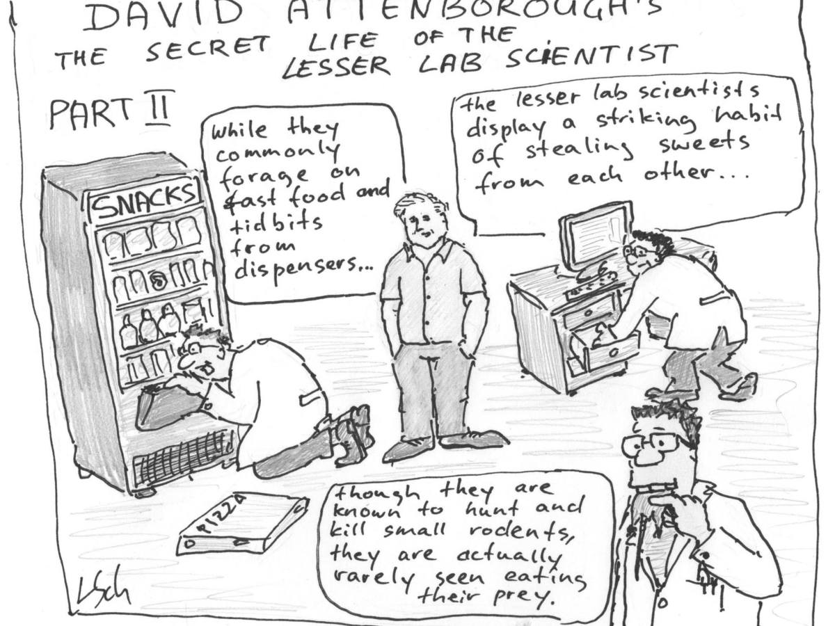 Amato Giaccia: too big to&nbsp;fall